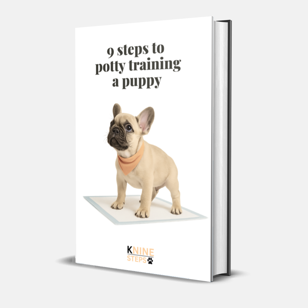 9 Steps to Potty Training a Puppy